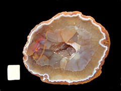 k4279