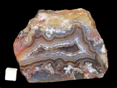 k4288