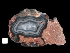 k4295