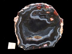 k4310