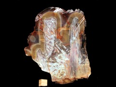 k4338