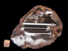 k4356