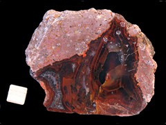 k4369