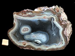 k4373
