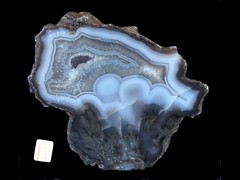k4377