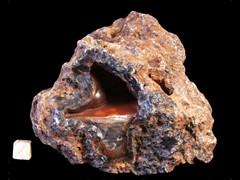 k4384