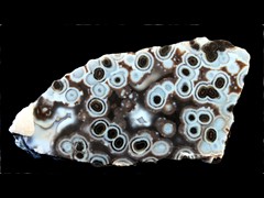 k4418