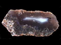 k4424