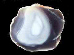 k4434