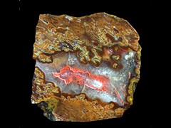 k4442