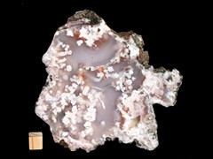 k4480
