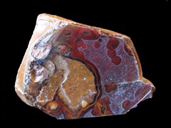 k4495