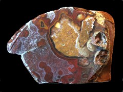 k4496